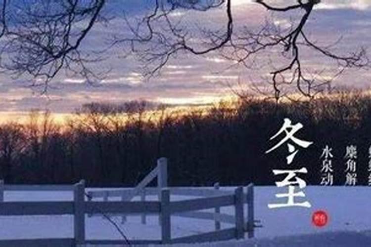 四季各有什么特点