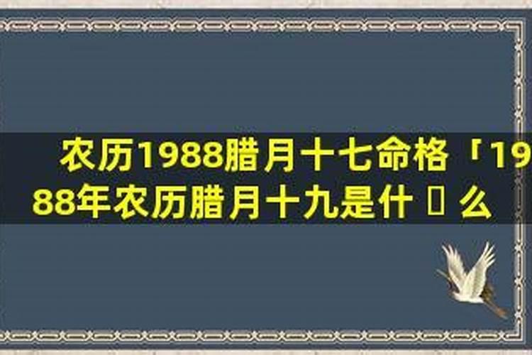 88年2025属龙的运势