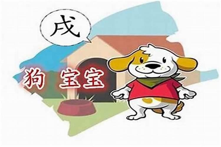属狗的几月出生好