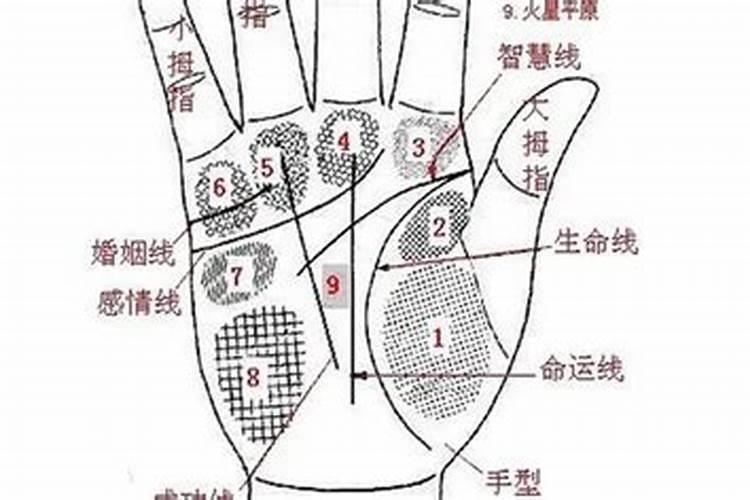 阴债怎么查怎么还
