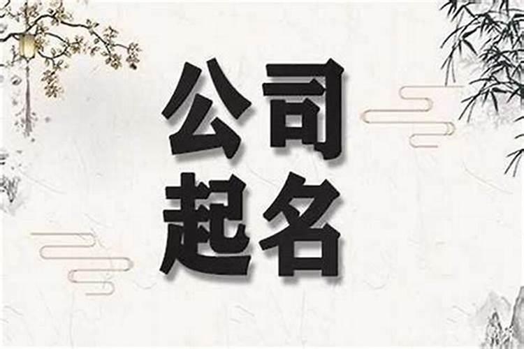 带康字的公司名称 康字开头的公司名字