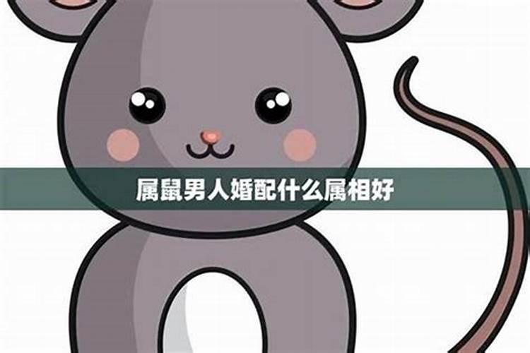属鼠的婚配与什么属相相冲,属鼠的和什么属相最配和相克？