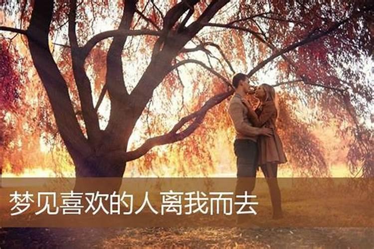 梦见前夫狠心抛下我