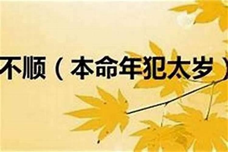 朱兴良是干什么的啊？金螳螂跟他有什么关系啊？