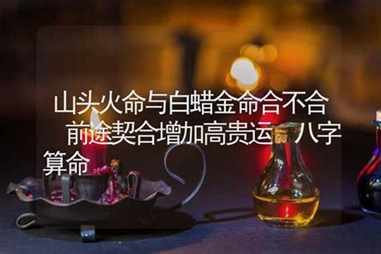 火命和金命合不合 火命和金命可以相配吗
