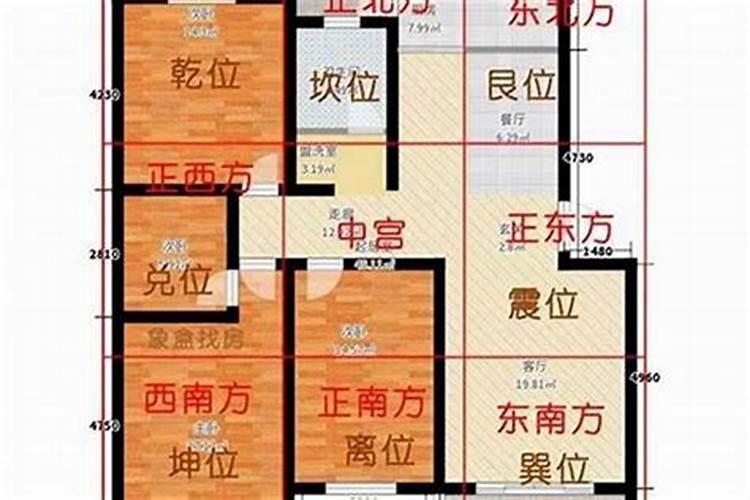 74年虎女一生桃花运,74年虎的桃花运婚姻