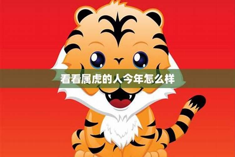 2025年属虎人的全年运势