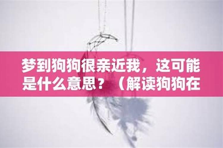 梦见一个小女孩和我特别亲近是什么意思