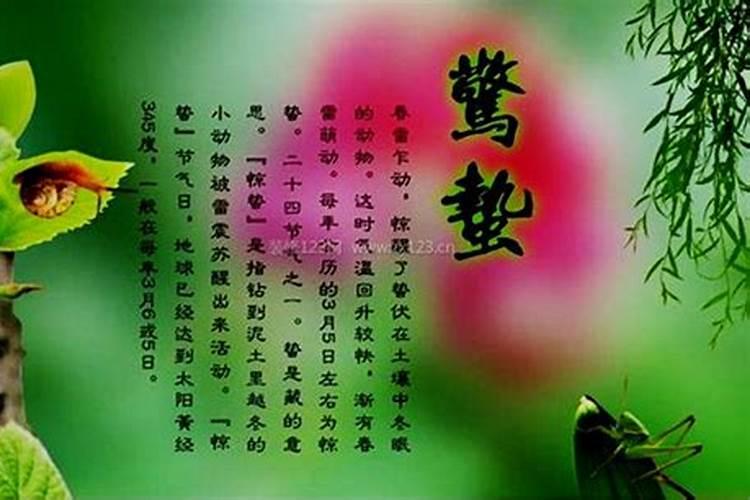 招财风水局有哪些