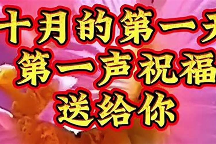 己未日命理解析与运势分析