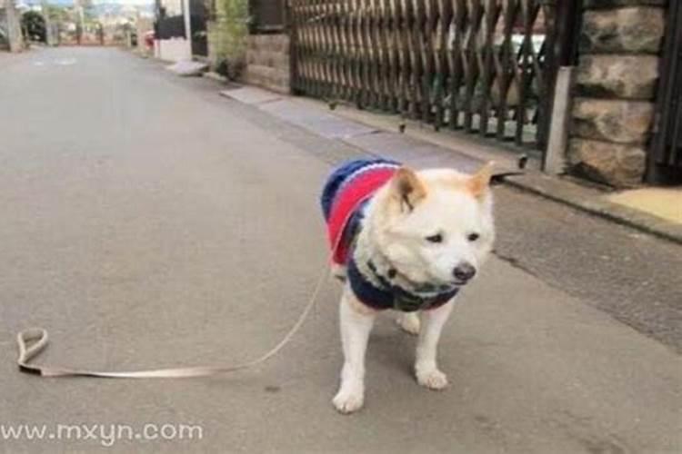 财库的查法口诀