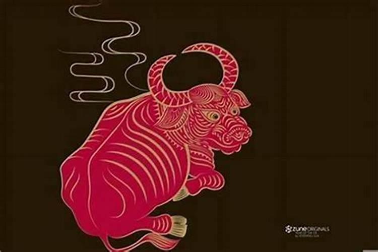 85年属牛转大运年龄