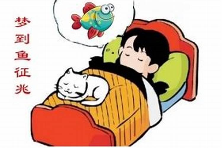 梦见鱼在马桶里有什么预兆？是什么意思？