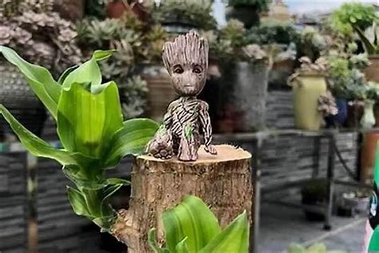 分手后梦见前任是什么意思,分手后第一次梦见前男友