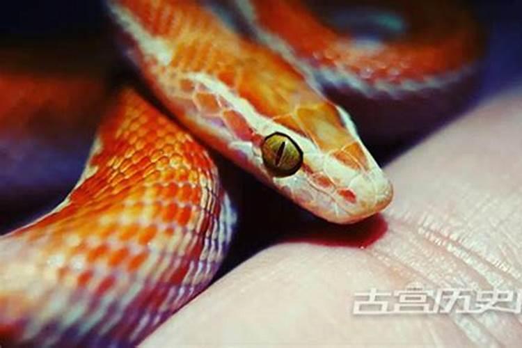 分手了经常梦见前男友意味着什么