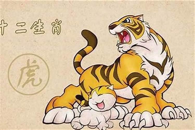 属虎和属狗的合不合