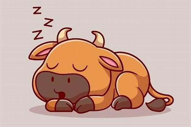 生肖牛八月运势如何