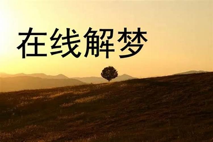 济宁庙会时间表
