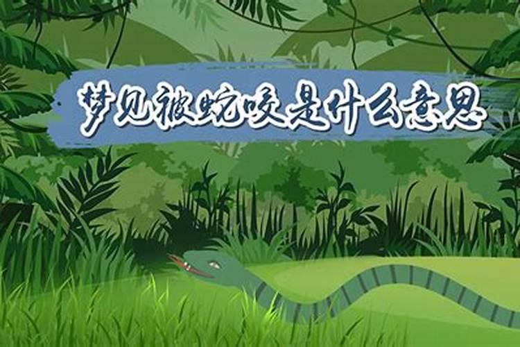生肖属牛人婚姻事业财运性格大全篇