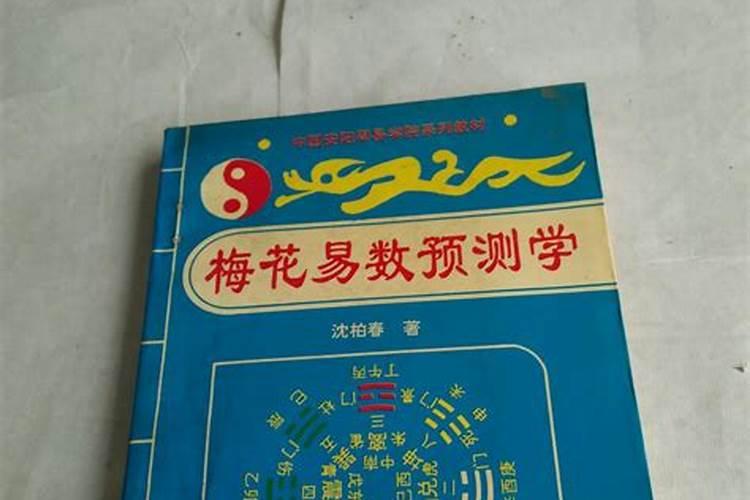 梅花卦可以算什么