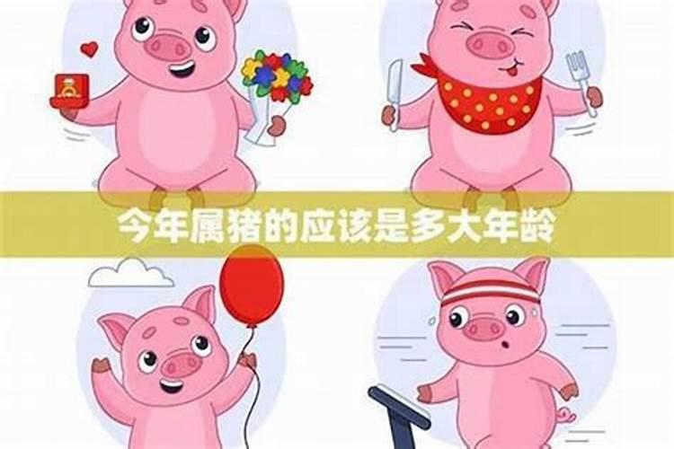 2007年属猪人一生命运如何