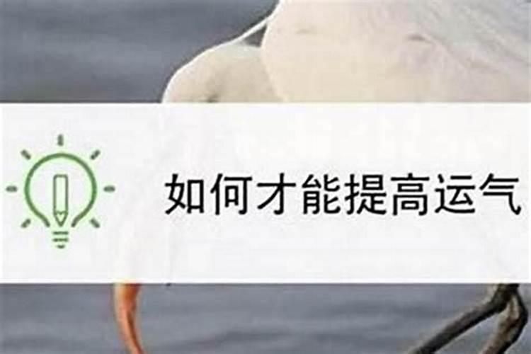 提升运气最灵的方法