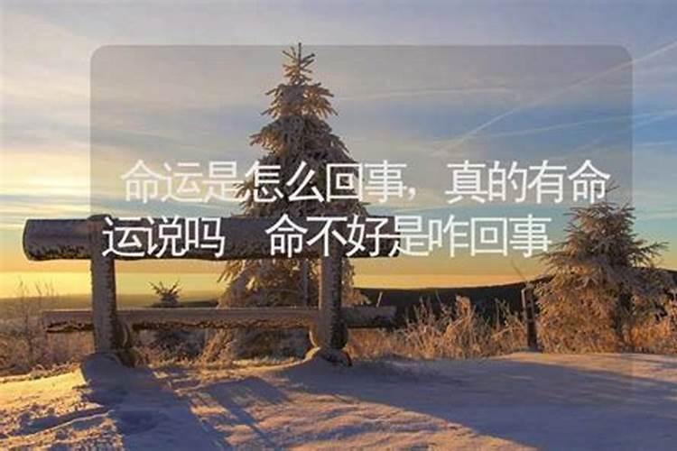 佛教问题 求财富的问题