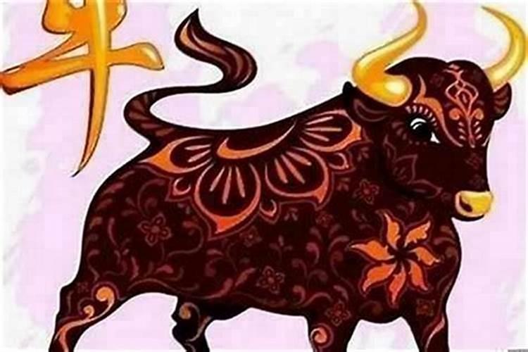 属牛的过本命年最忌讳什么