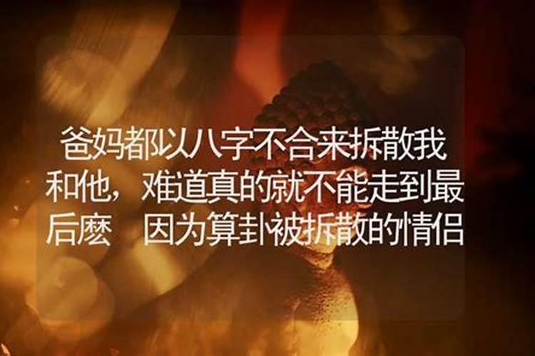 梦见湖泊什么意思