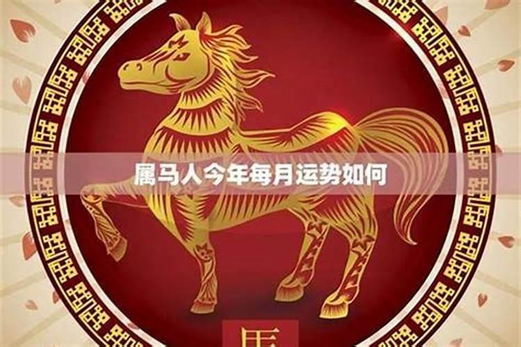 78年属马农历九月九日出生的是什么命