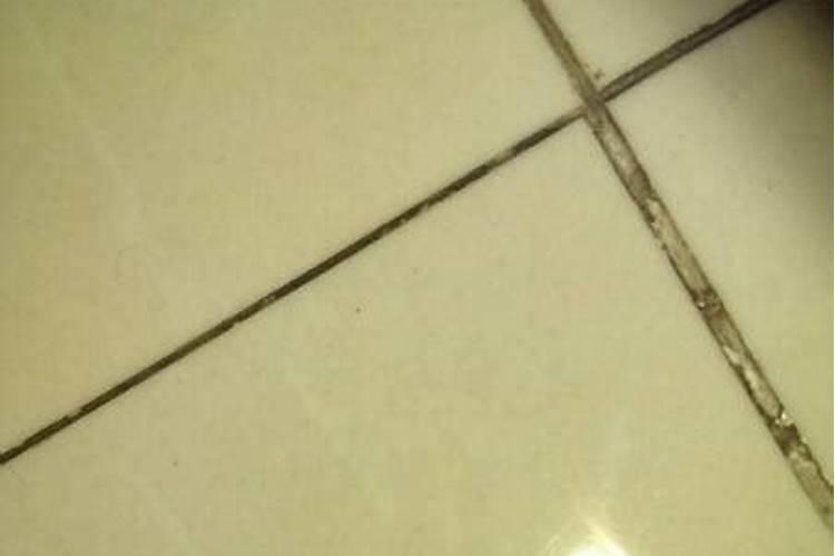 梦到白鸽子是什么意思？