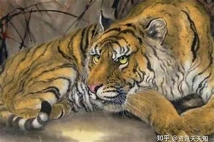 属虎男出轨后的心理,属虎狮子座男出轨后的心理