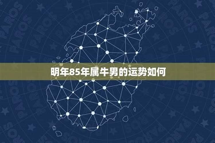 清明节上坟不能带什么水果