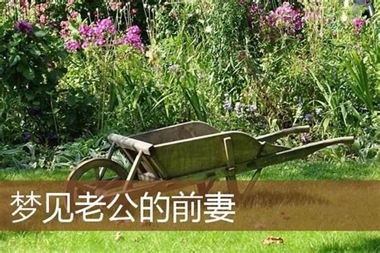 梦见老公的前妻是什么意思
