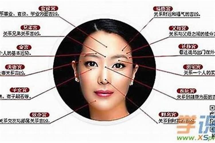 成都哪有算命很准的人