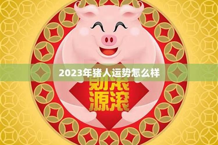 属猪2025年犯太岁怎么化解