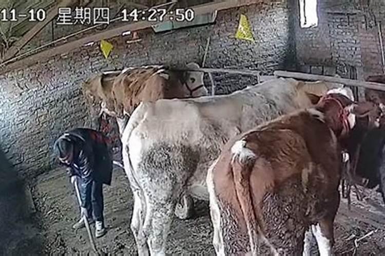 别人给了我一个太岁符好还是不好