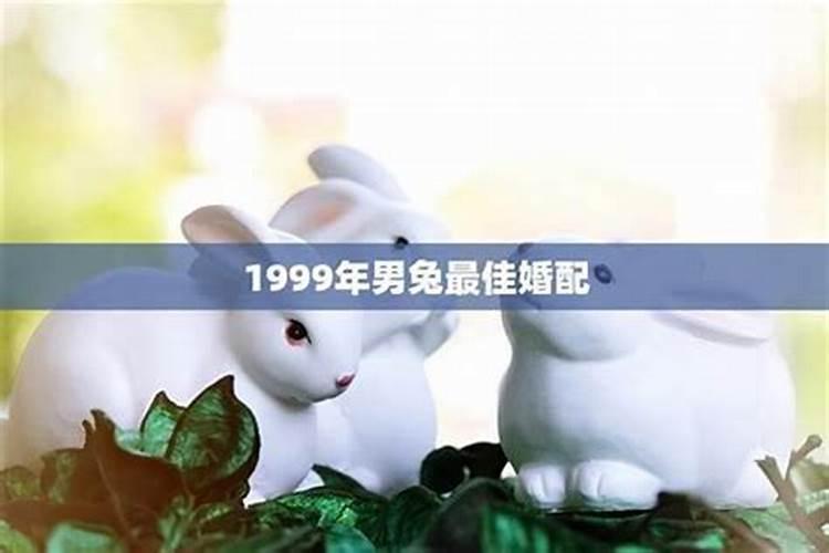 女的属狗 男的属兔 是否适合结婚