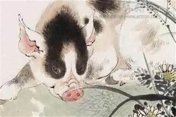 属猪的人犯太岁一览表,属猪人犯太岁年份