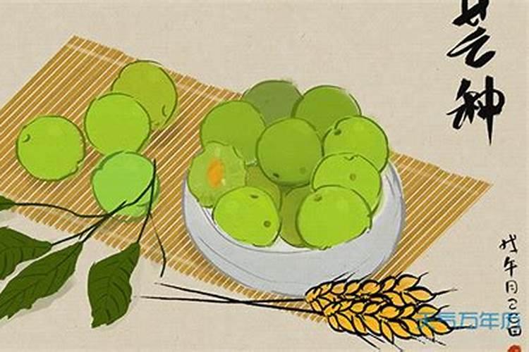 一九九五年农历腊月二十九出生的命运