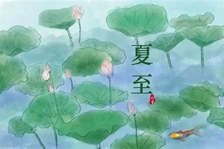 95年农历腊月二十九生属什么生肖