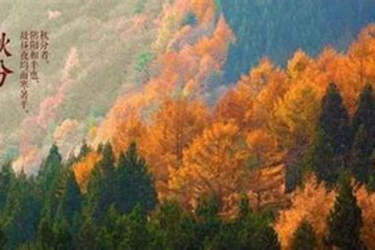 秋分节气的风俗 秋分节气有什么风俗呢