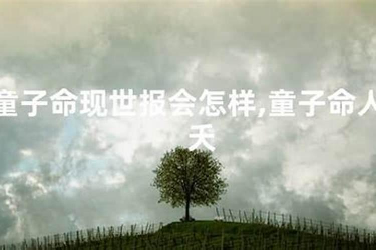 69年鸡男2025年运势和每月运程