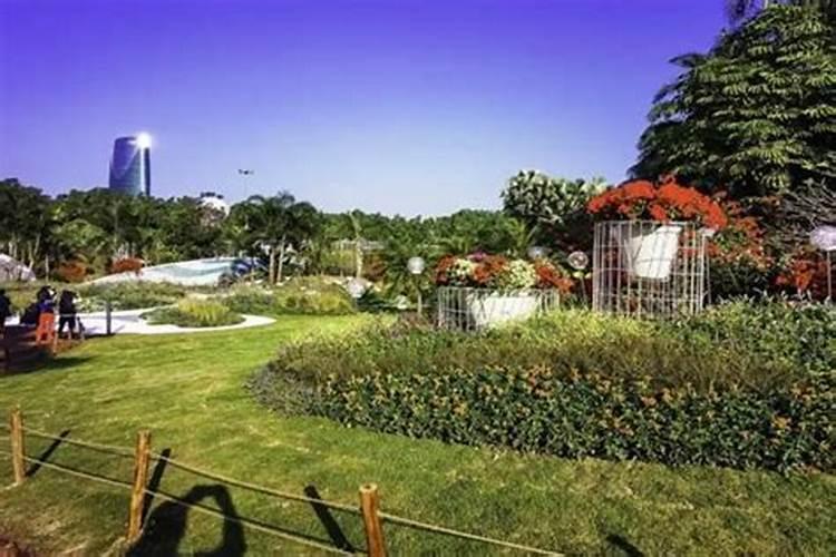 深圳端午节旅游攻略(端午深圳周边旅游攻略)