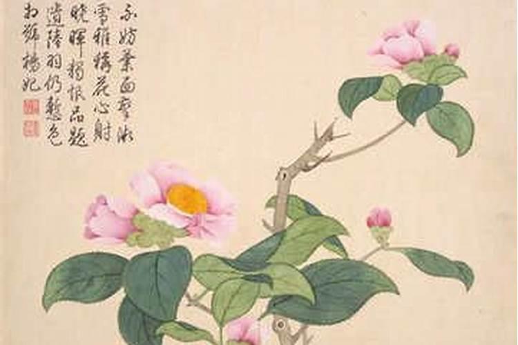 亲请求大师:农历生辰八字算命