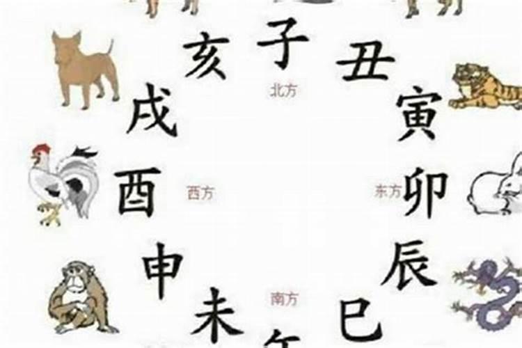 属猪男人和属羊女人相配吗
