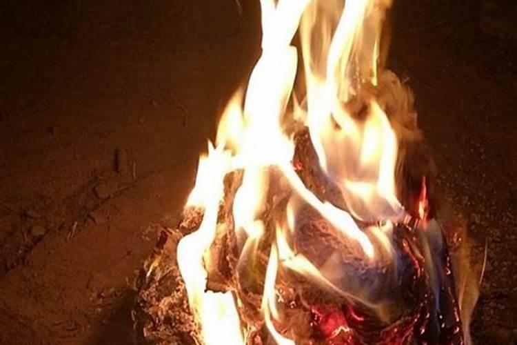 我家狗狗过世了,我想正月十五那天去海城大悲古寺为它超度,可就是不知道...