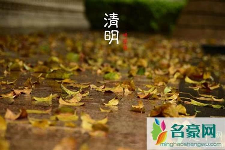 清明节跟什么生肖有关系