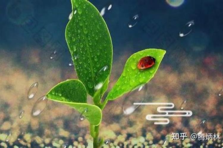 节气的三候知识