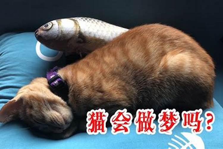 立冬和冬至哪天吃饺子